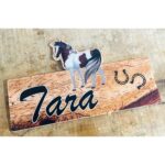 Beautiful Multicolor Personalised Acrylic Name Plate – Your Style, Your Colors (3)