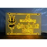 New Design Acrylic Embossed Letters Home LED Name Plate (2)